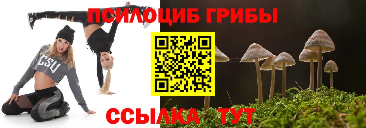 Галлюциногенные грибы GOLDEN TEACHER  Вход с VPN  Малгобек 